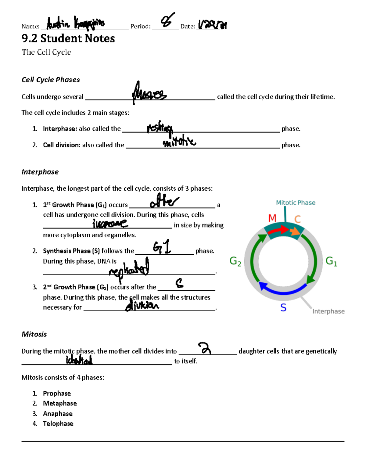 Student Notes: Overview of The Cell Cycle Phases (Biology 9.2) - Studocu