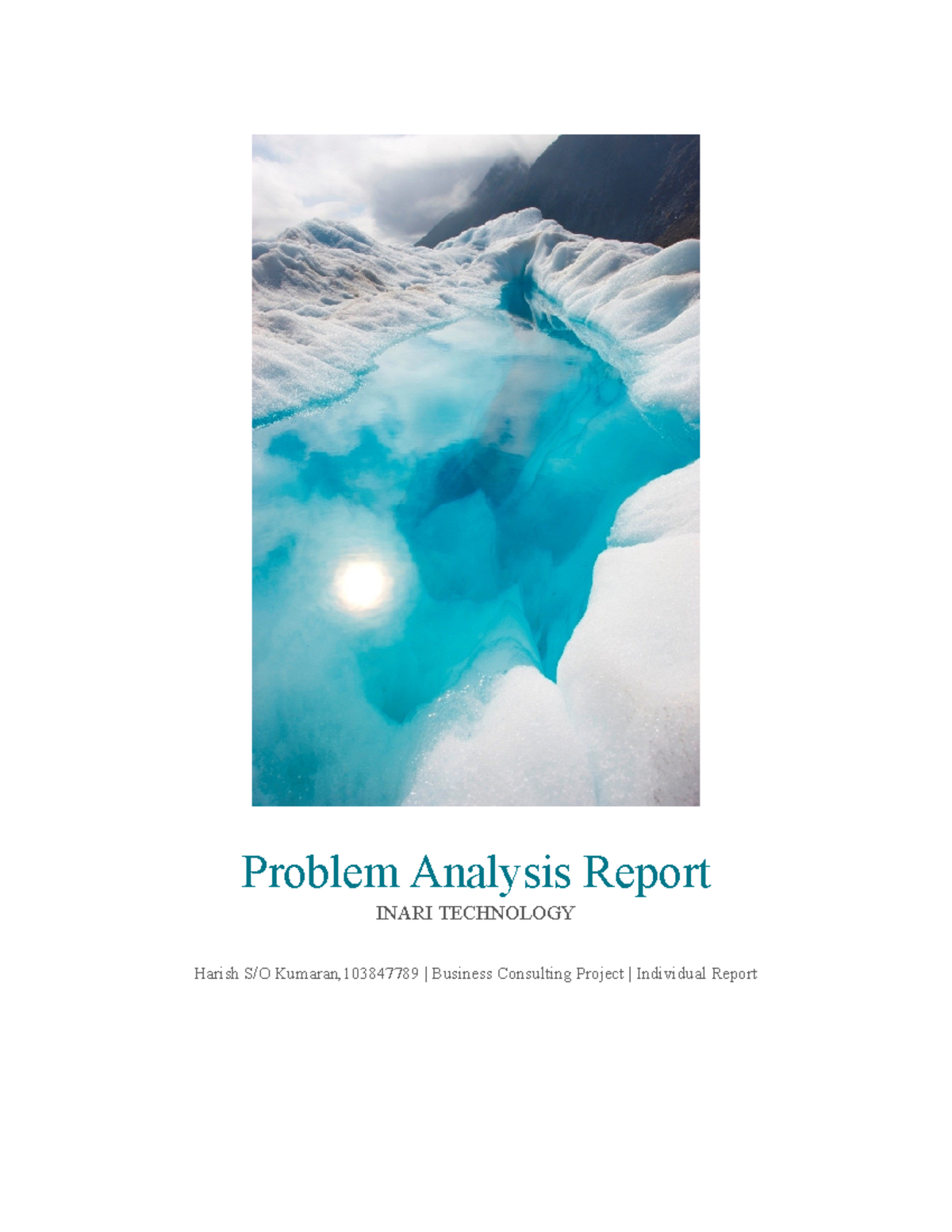 Assignment 1B Problem Analysis Report - Problem Analysis Report INARI ...
