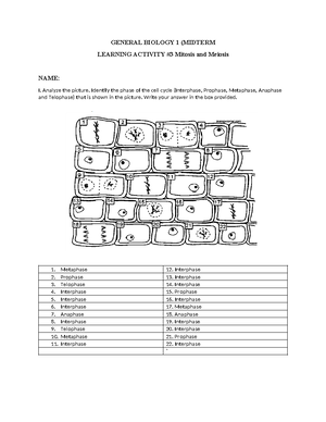 BIOLOGY 101 Final Exam Reviewer: Cell Division & Transport Mechanisms ...