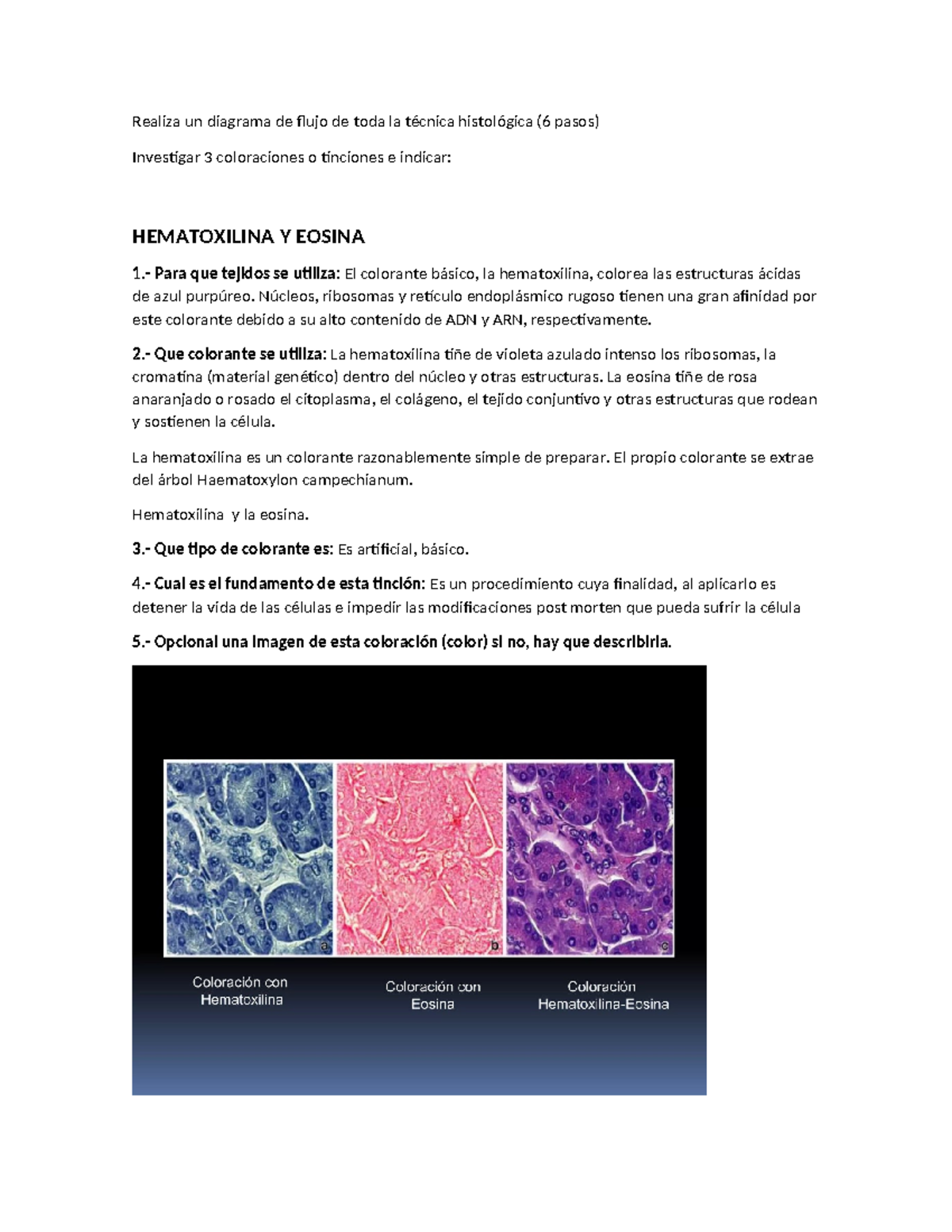 Histología Tarea 1: Diagrama de Flujo y Coloraciones Histológicas - Studocu