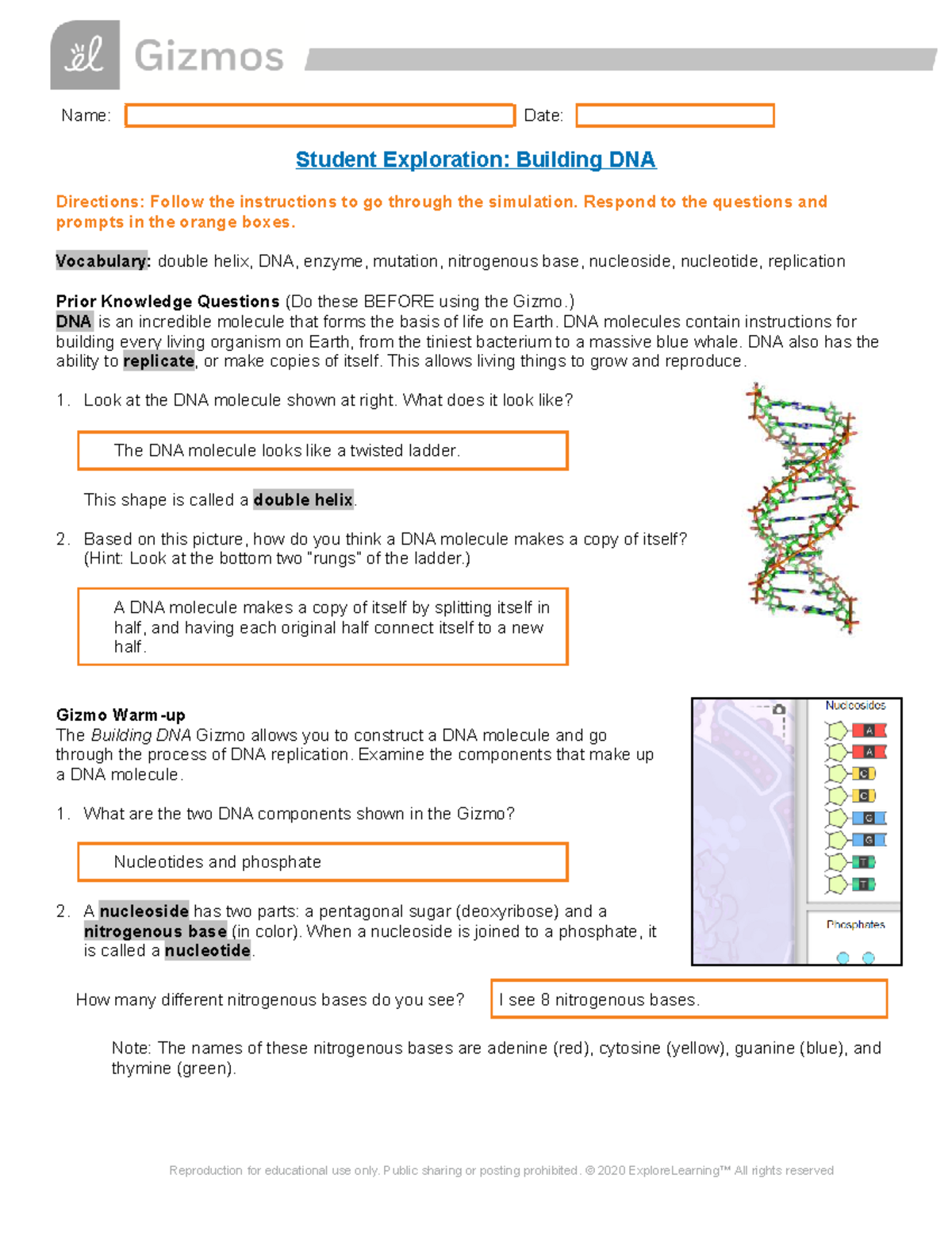 DNA Gizmo - Name: Date: Student Exploration: Building DNA Directions ...