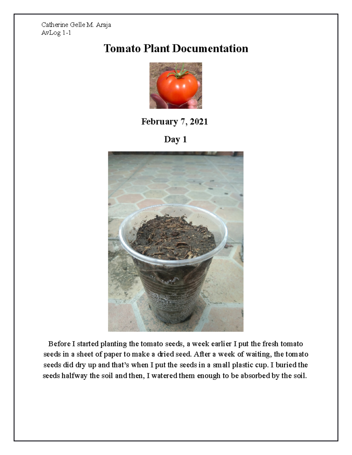 Tomato Plant Growth Log: AvLog 1 - Seed Planting Progress - Studocu