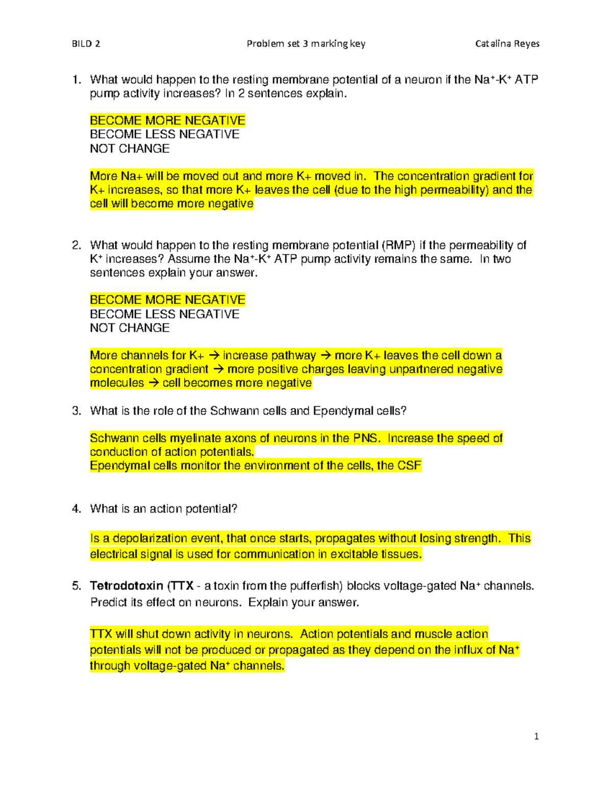 BILD 2 Problem Set 3 Marking Key - Studocu