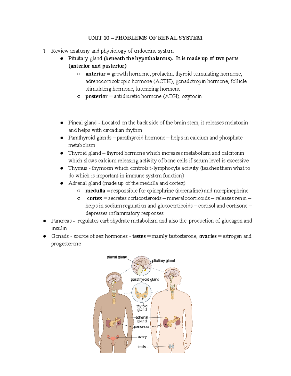 Med Surg 2 Exam 6 Study Guide: Renal & Neurological Systems - Studocu