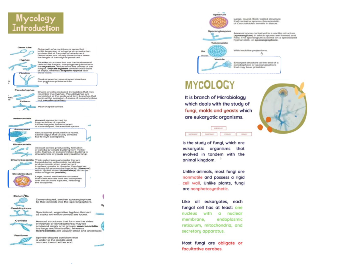 Mycology Study Notes: Fungi, Spores, and Pathogenicity (MICROBIO 10 ...