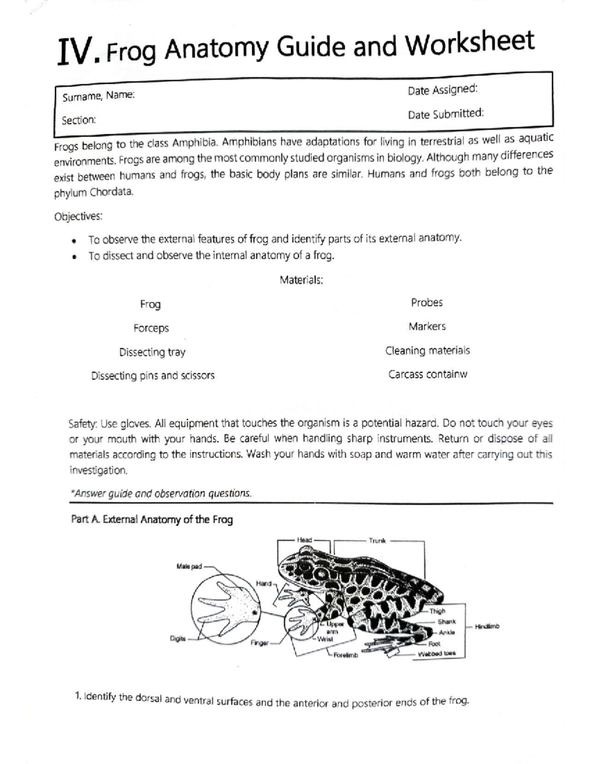 Frog anatomy guide and worksheet (BIO 101) - Studocu