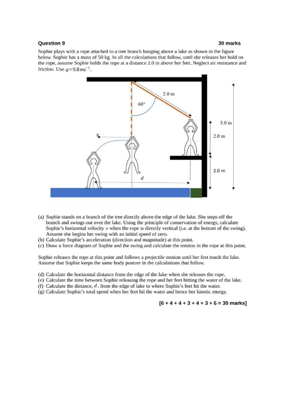 Physics Question 9: Sophie’s Rope Swing Dynamics Analysis - Studocu