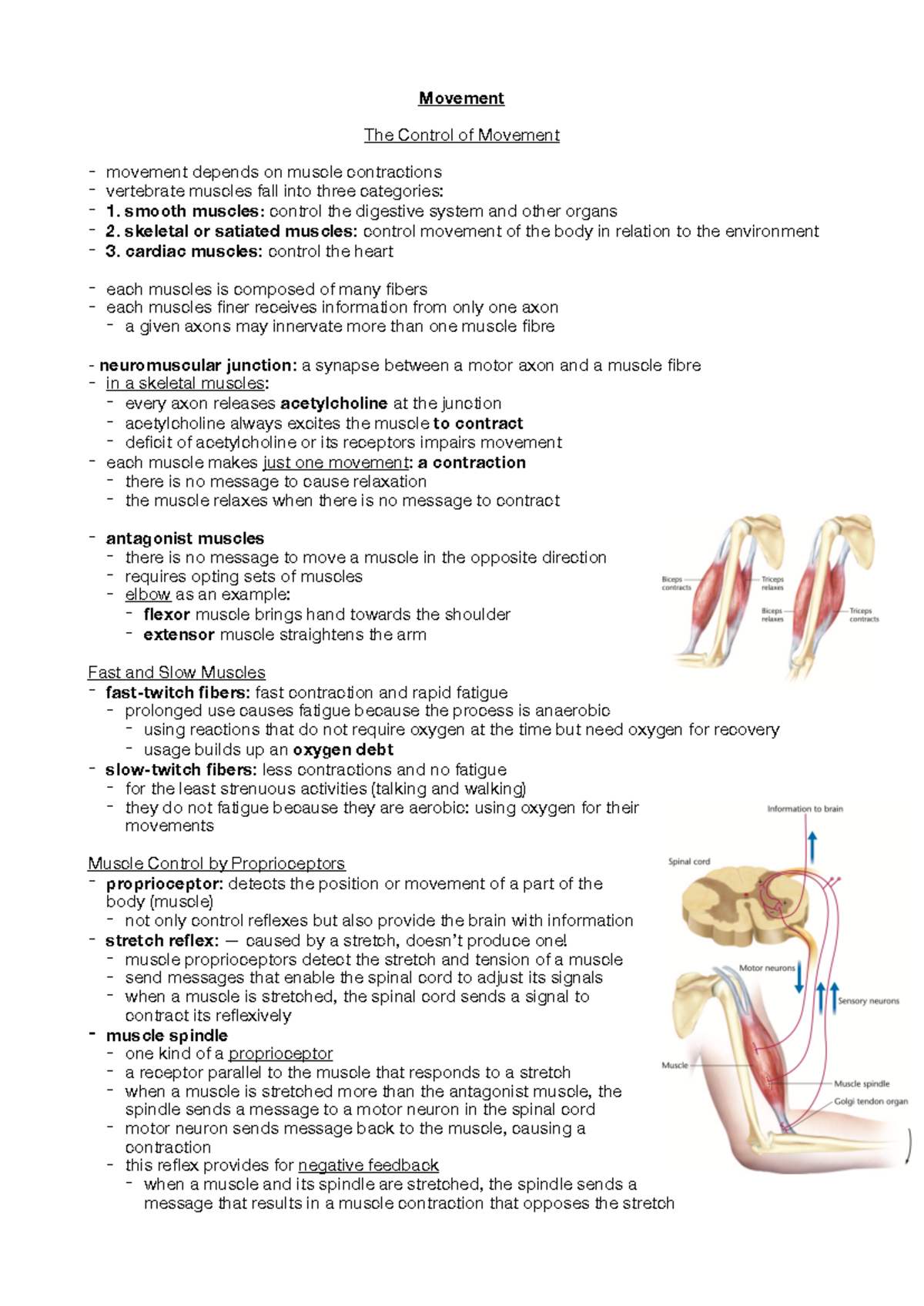 Biological Psychology - Movement Control Summary (Biopsychology ...