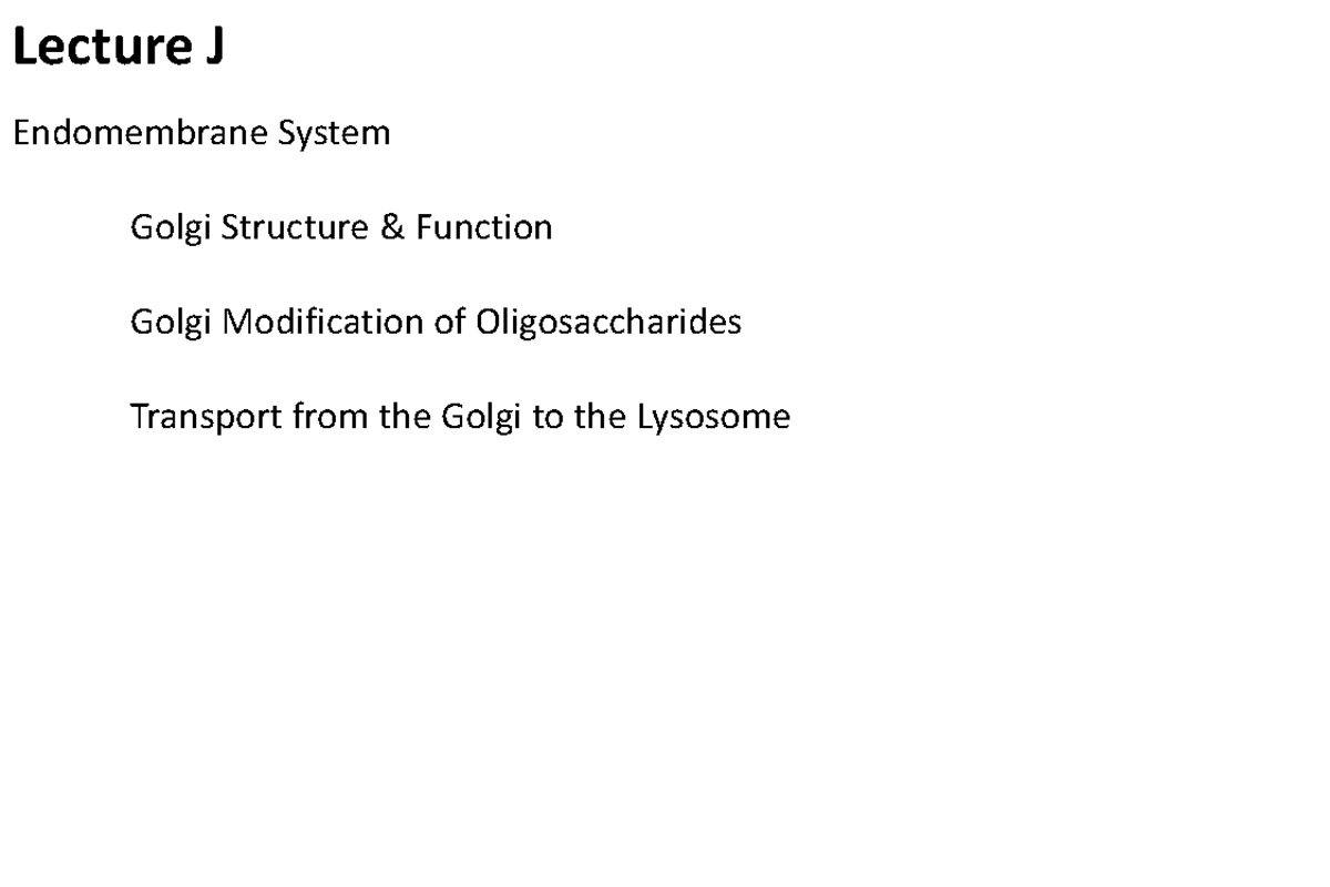 Lecture K - Endomembrane System: Golgi Structure & Function - Studocu