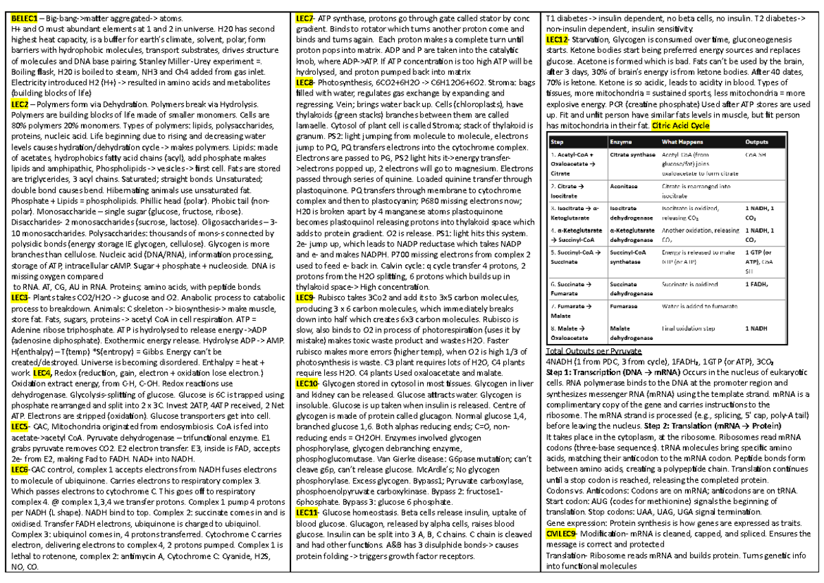 Biosci 101 Final Exam Cheatsheet: Key Concepts and Processes - Studocu