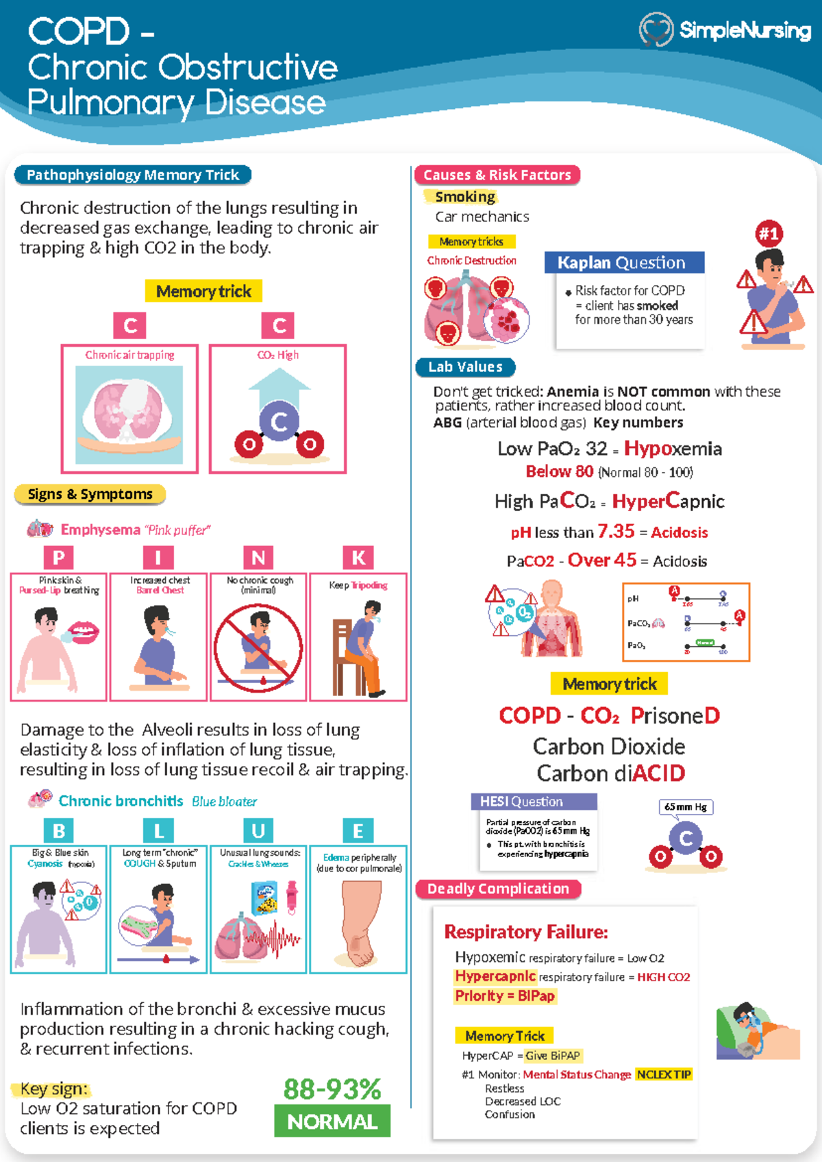 COPD 1 - Quick View Study Guide on Pathophysiology & Risk Factors - Studocu