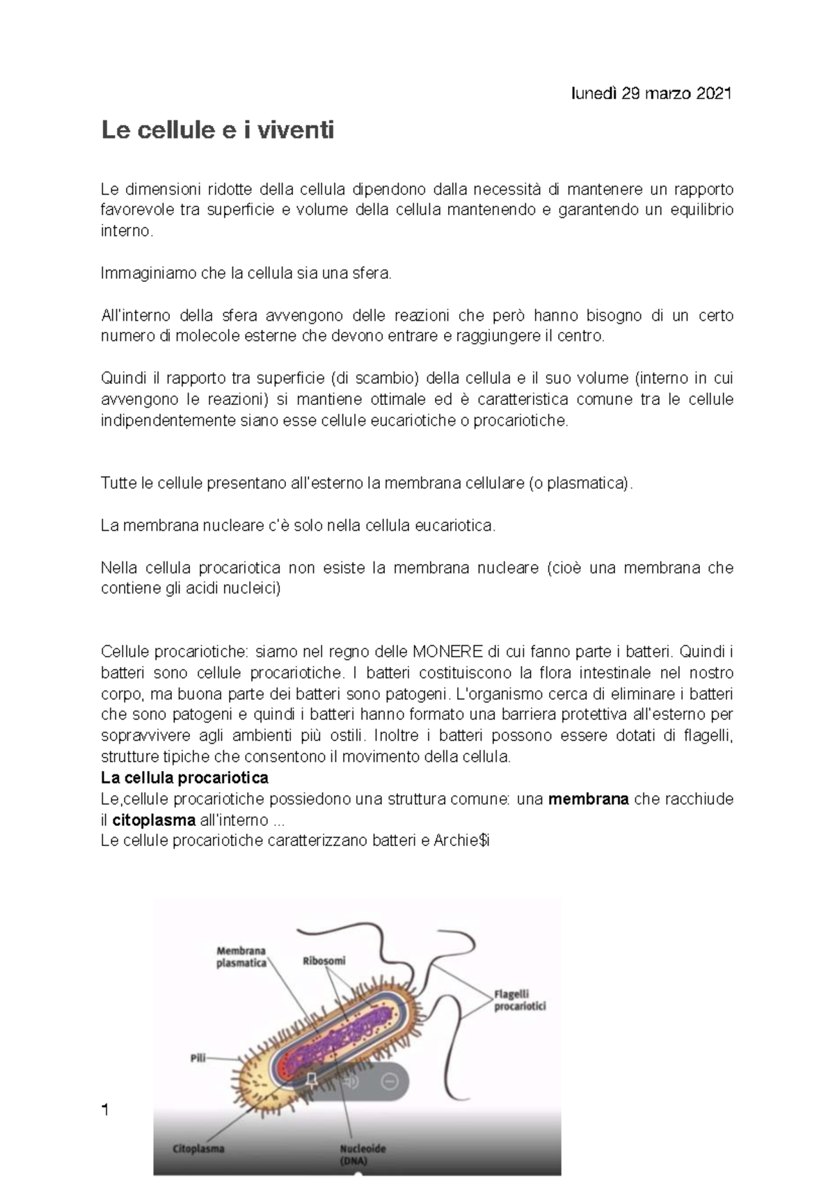 Biologia: Le Cellule e i Viventi - Struttura e Funzioni - Studocu