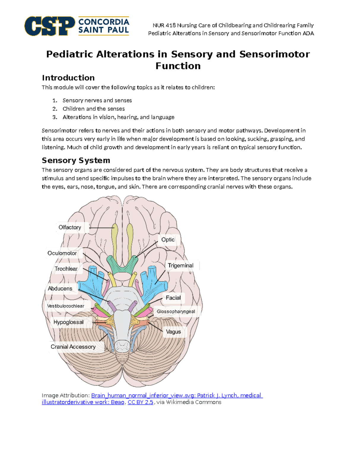 Pediatric Sensory & Sensorimotor Function Changes: ADA Overview - Studocu