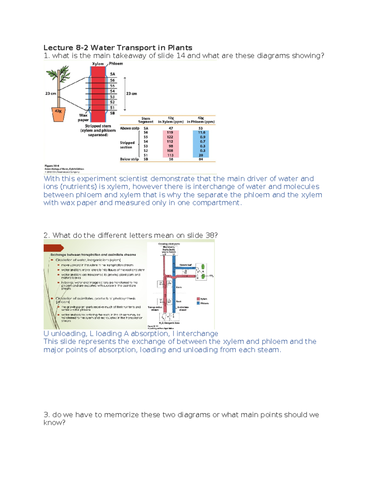 Study Points for Biology - Lecture 8-2 Water Transport in Plants what ...