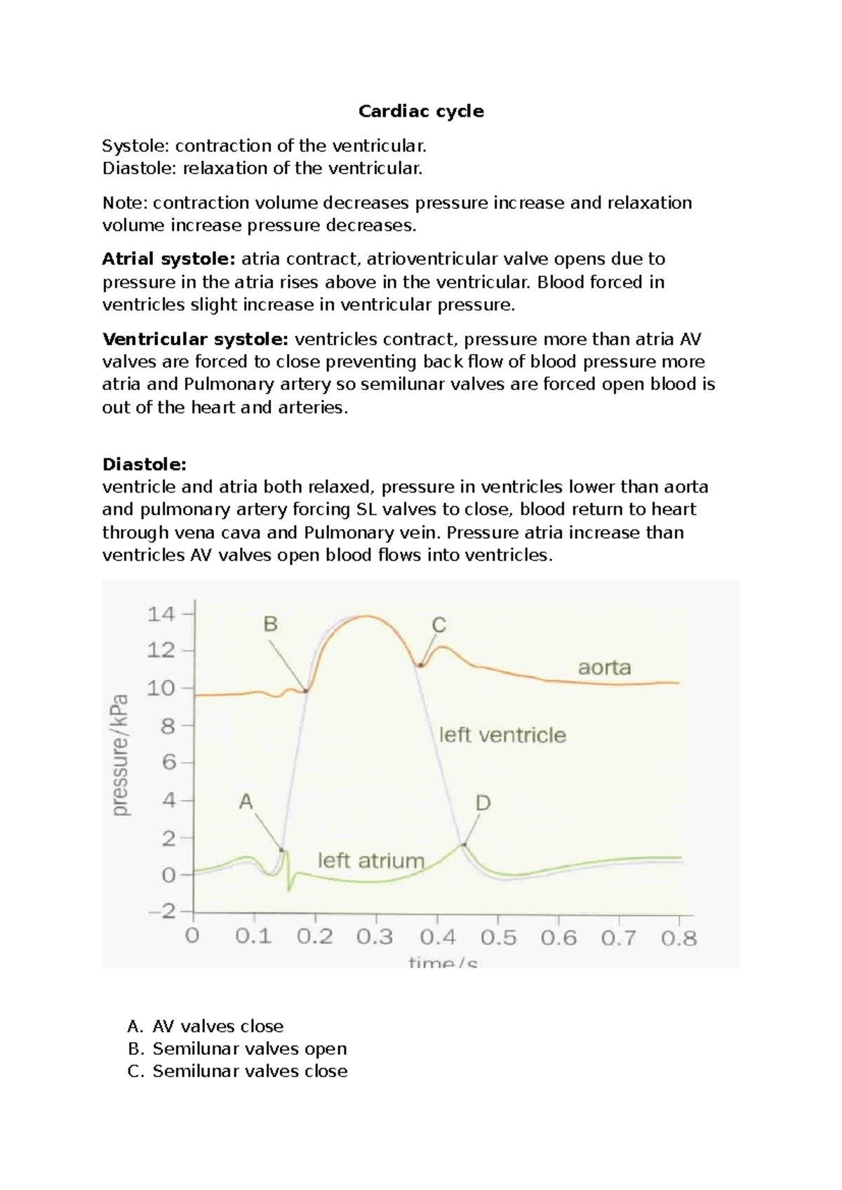 Cardiac Cycle Overview: Systole and Diastole Explained - Studocu