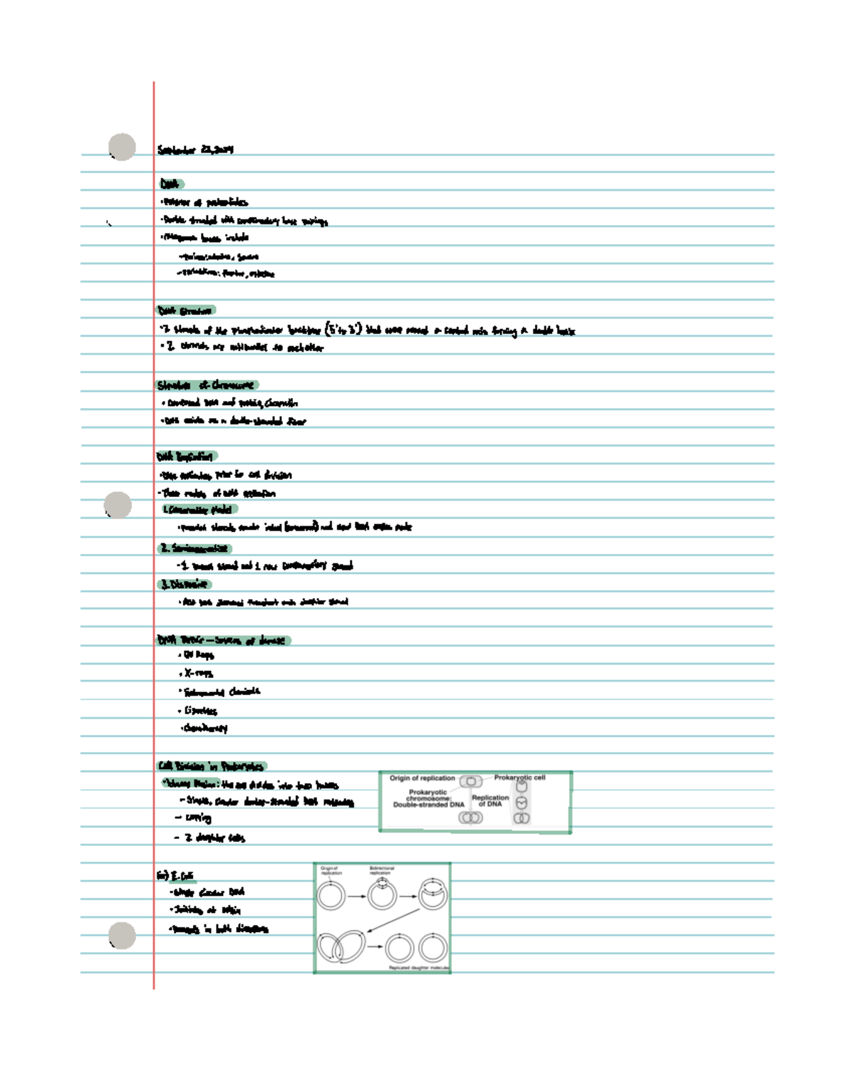 DNA Structure and Replication - Biology 101 Lecture Notes - September ...