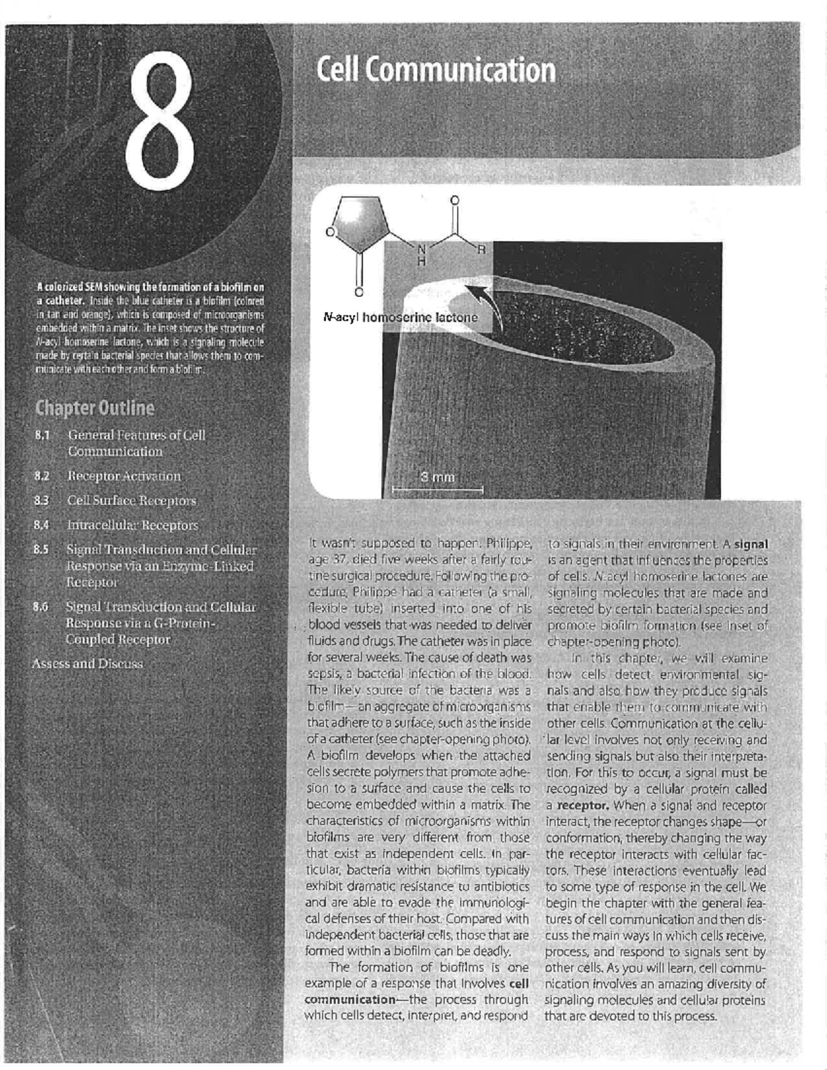 Final Exam Study Guide for Course XYZ 101: Key Concepts & Topics - Cell ...