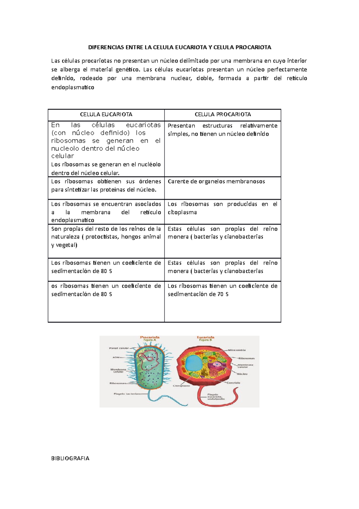 Diferencias entre Células Eucariotas y Procariotas: Estudio Detallado -  Studocu