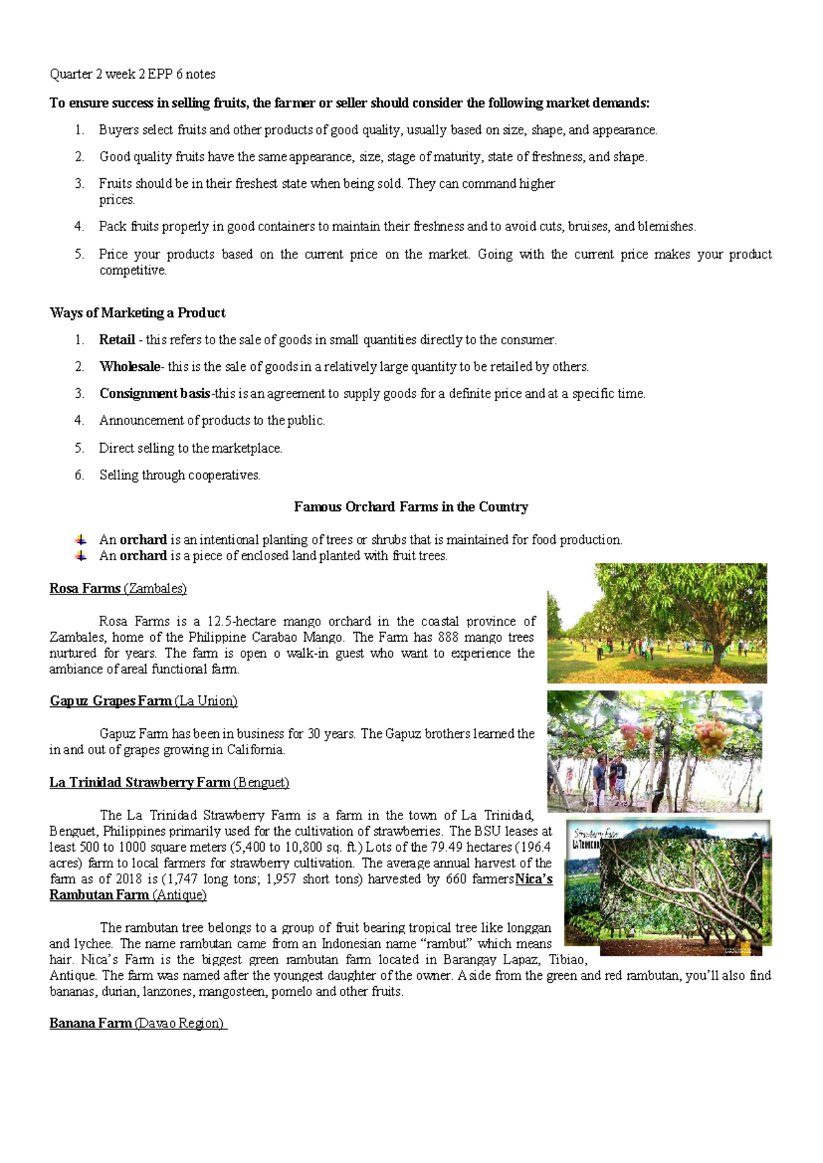 EPP 6 Quarter 2 Week 2: Notes on Fruit Selling & Marketing - Studocu