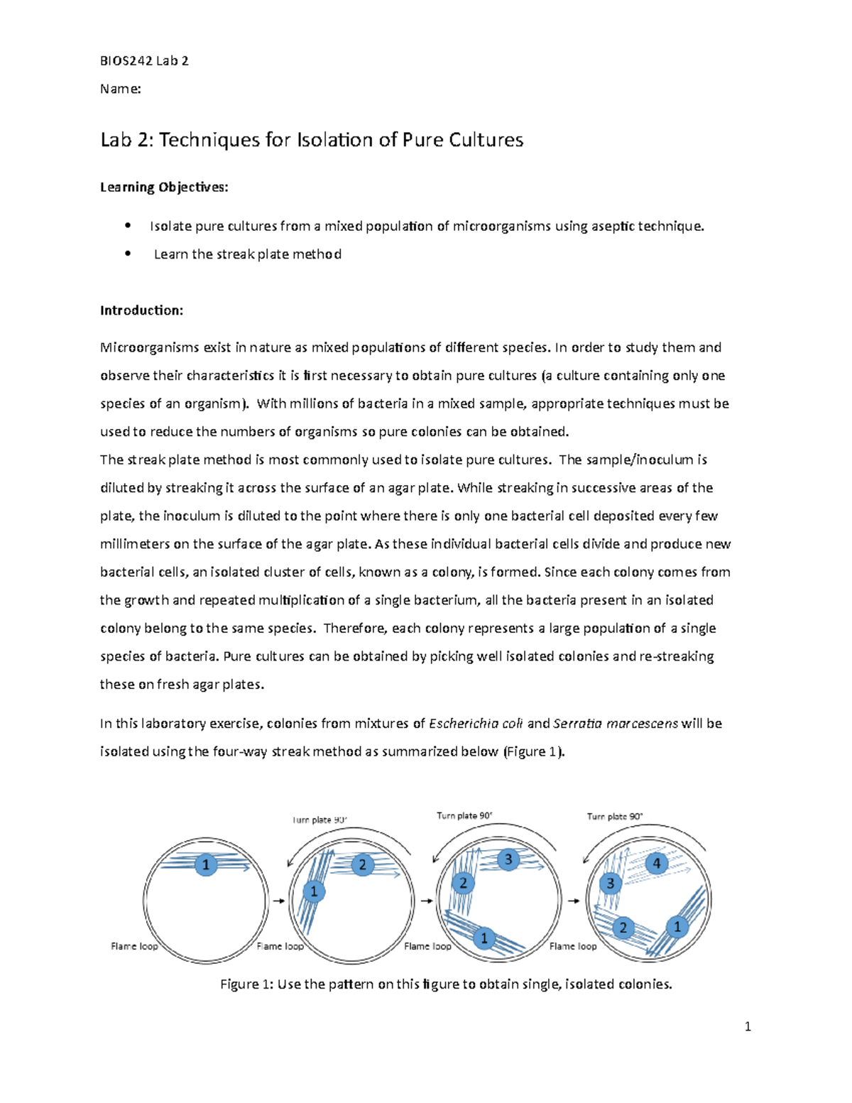 BIOS242 Lab 2: Methods for Isolating Pure Cultures of Bacteria - Studocu