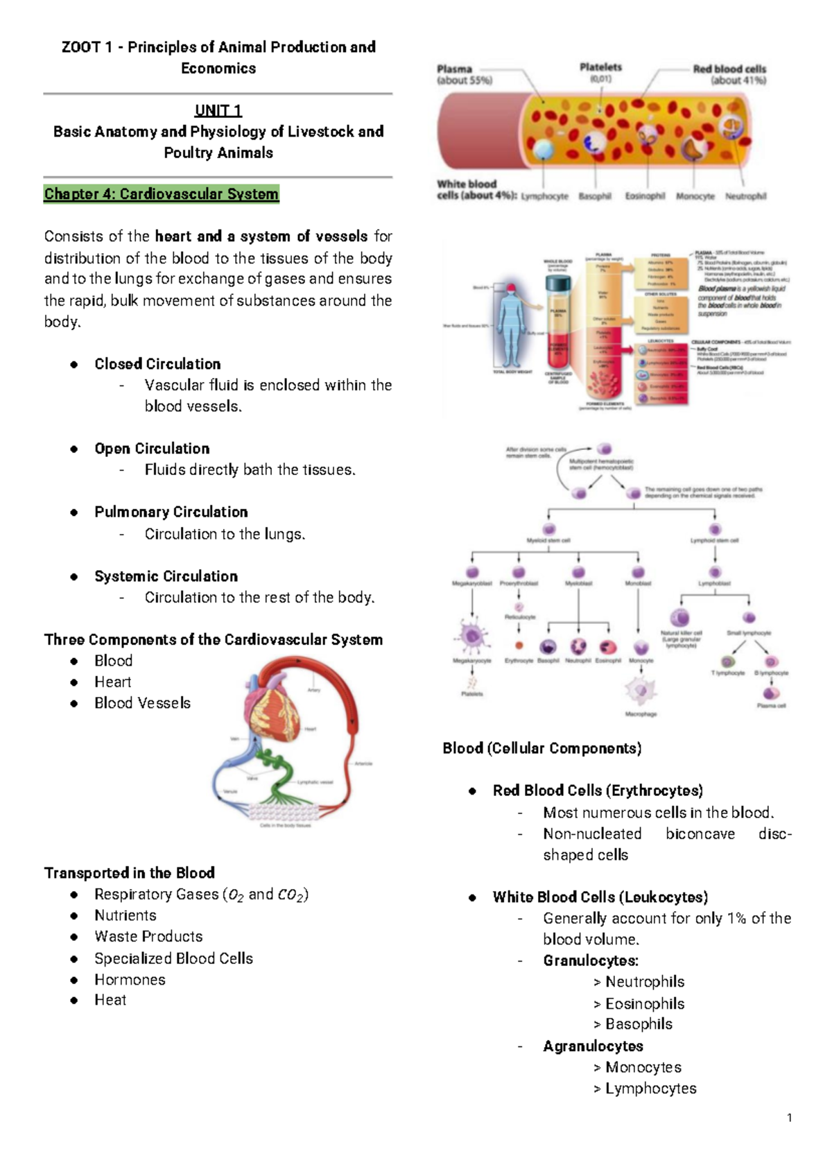 ZOOT 1 - Cardiovascular System Overview and Key Concepts - Studocu