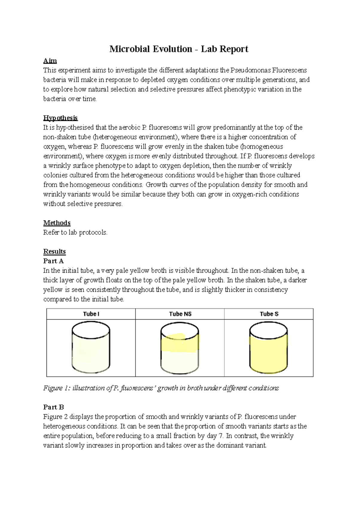 Bio1022 Microbial Evolution Lab Report: P. fluorescens Adaptations ...