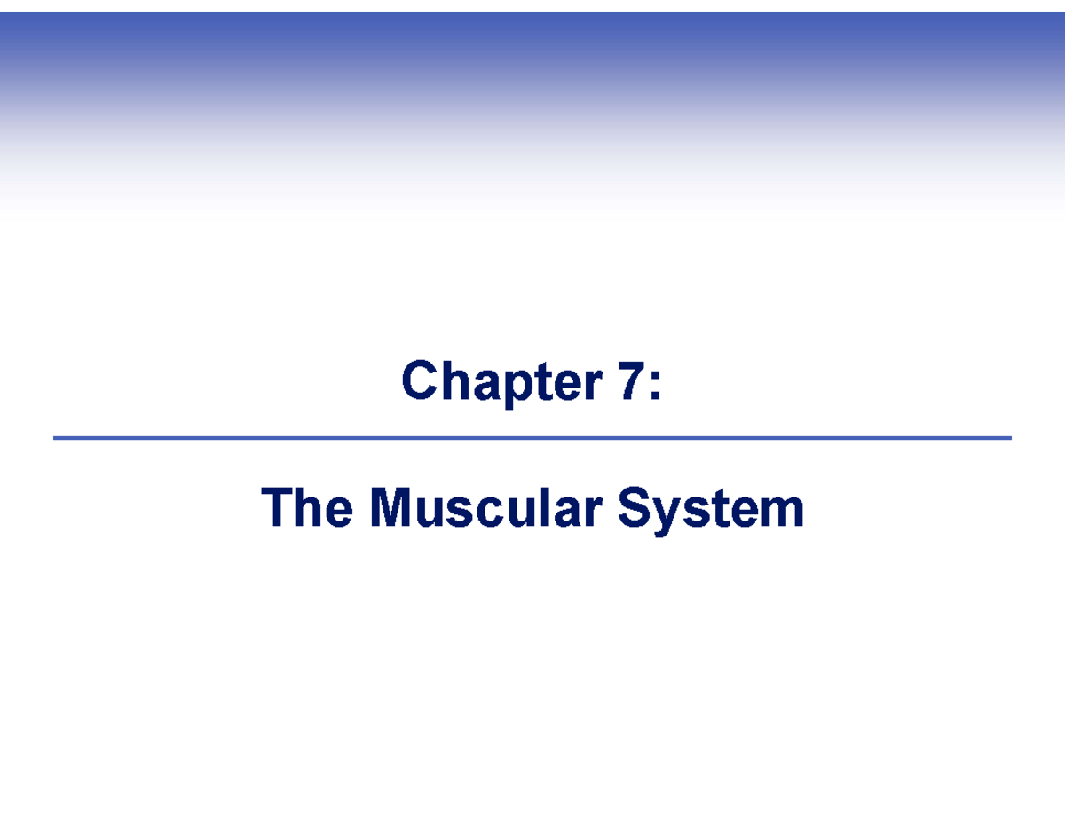 Chapter 7: The Muscular System Overview and Key Concepts - Studocu