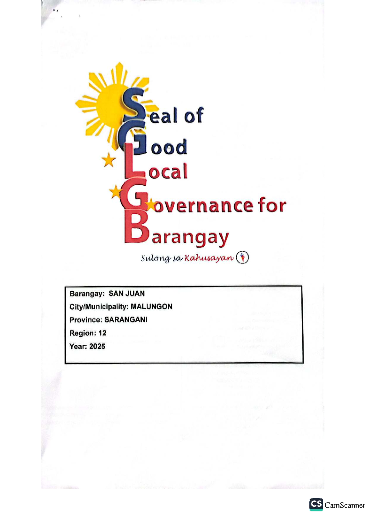 CS 2024 Barangay Peace and Order and Public Safety Plan for San Juan ...