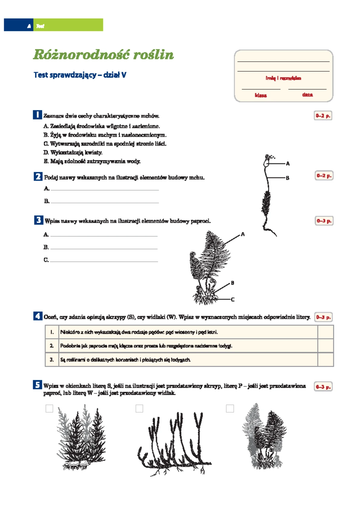 Sprawdzian świat Roślin 1 Gimnazjum Odpowiedxi www.studocu.com