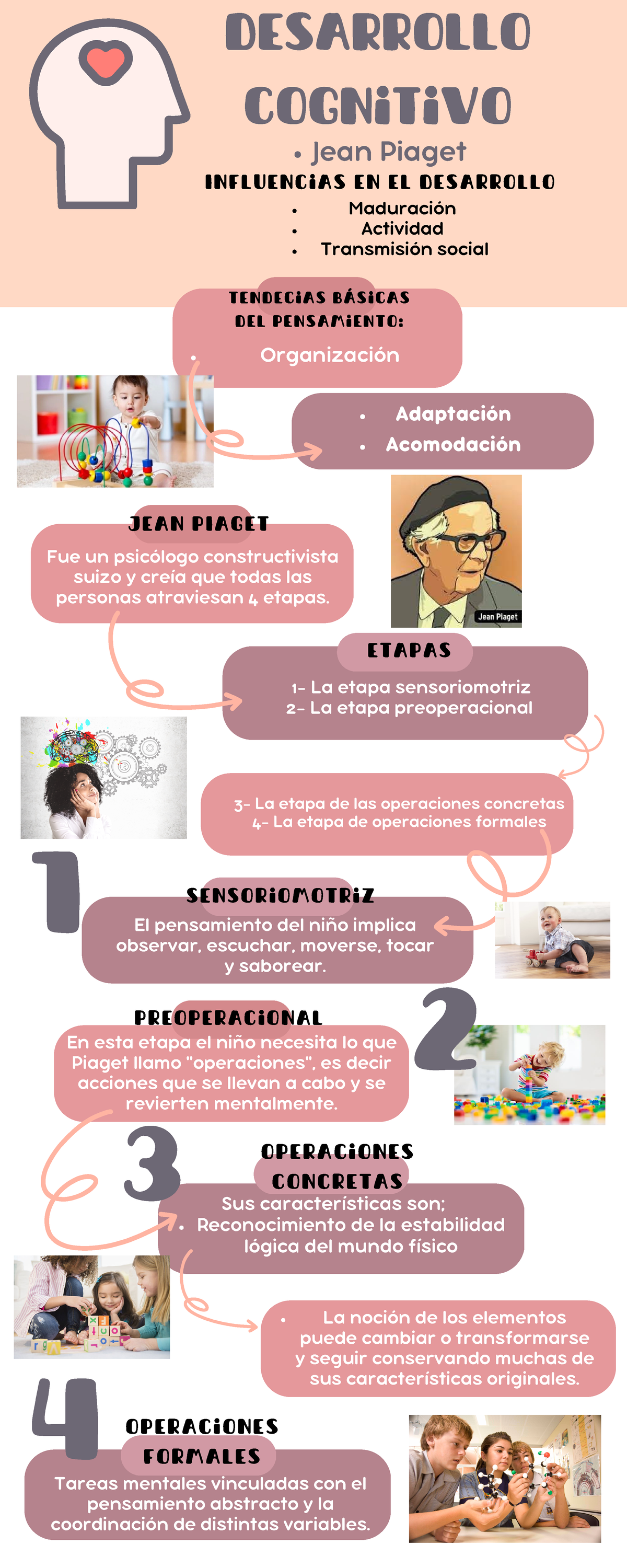 Etapas De Jean Piaget Operaciones Formales E Integrales - Infoupdate.org