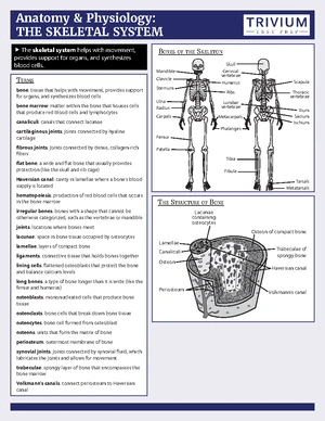 Immune system - Anaphy Cheat Sheet (terms) - Anatomy and Physiology ...