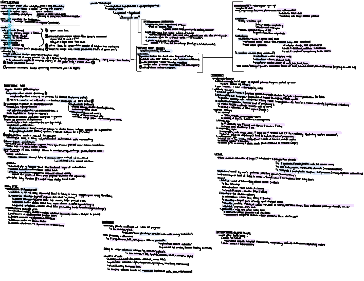 Anatomy Exam 3 Comprehensive Study Notes - Studocu
