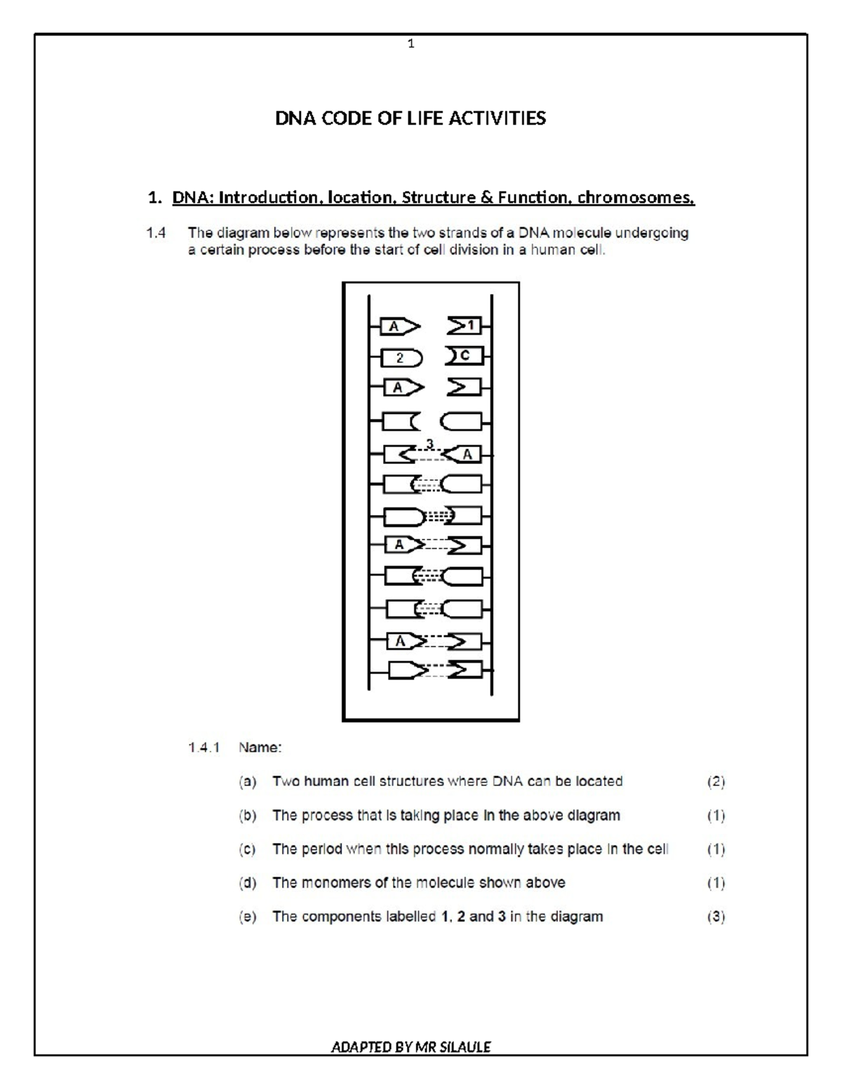 DNA CODE OF LIFE: Activities Overview and Key Concepts - Studocu