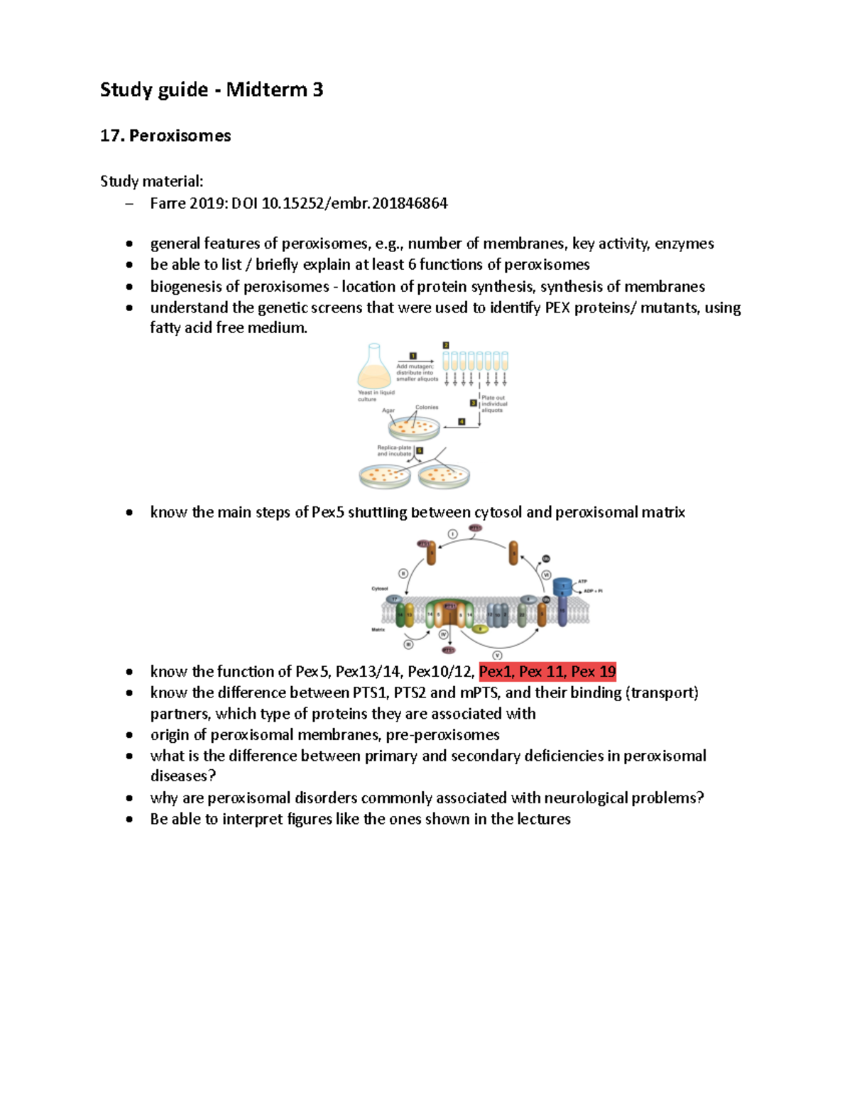 Midterm Study Guide 2024: Key Concepts in Cell Biology - Studocu