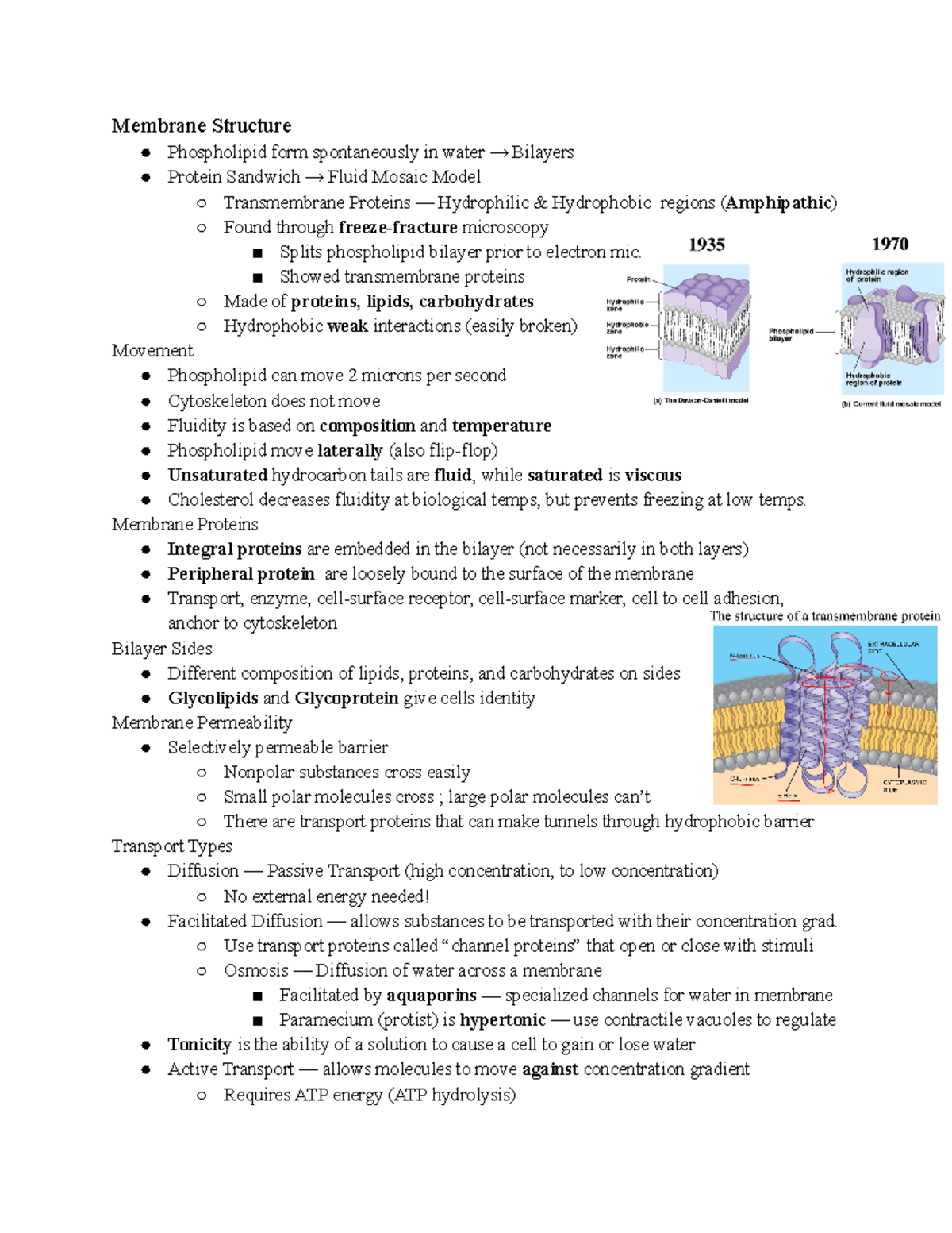 Biology 101 Chapter 5: Membrane Structure and Transport Summary - Studocu
