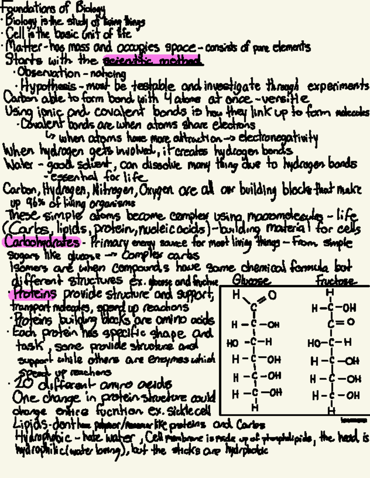 Biology 101: Foundations of Life and Molecular Structure Notes - Studocu