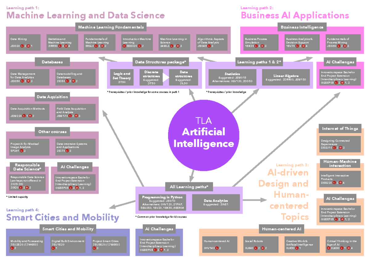 TLA AI 2025-3: Comprehensive Guide to Machine Learning Paths - Studeersnel