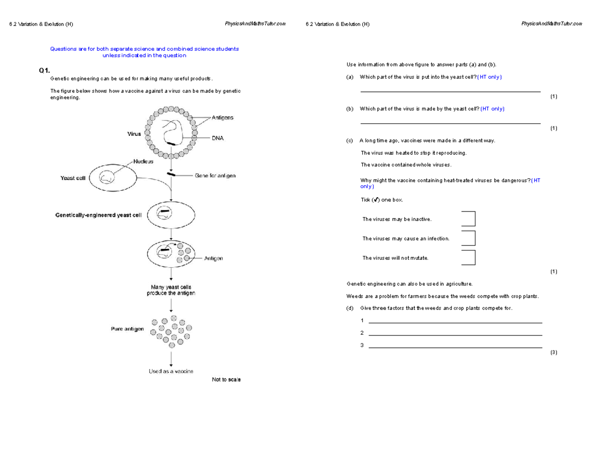 6.2 Variation & Evolution (H) QP - AQA Biology GCSE Exam Questions ...