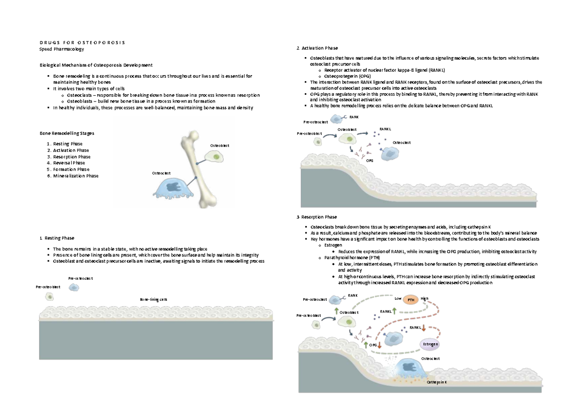 DRUGS FOR OSTEOPOROSIS: Pharmacology & Mechanisms (PHARM 2) - Studocu