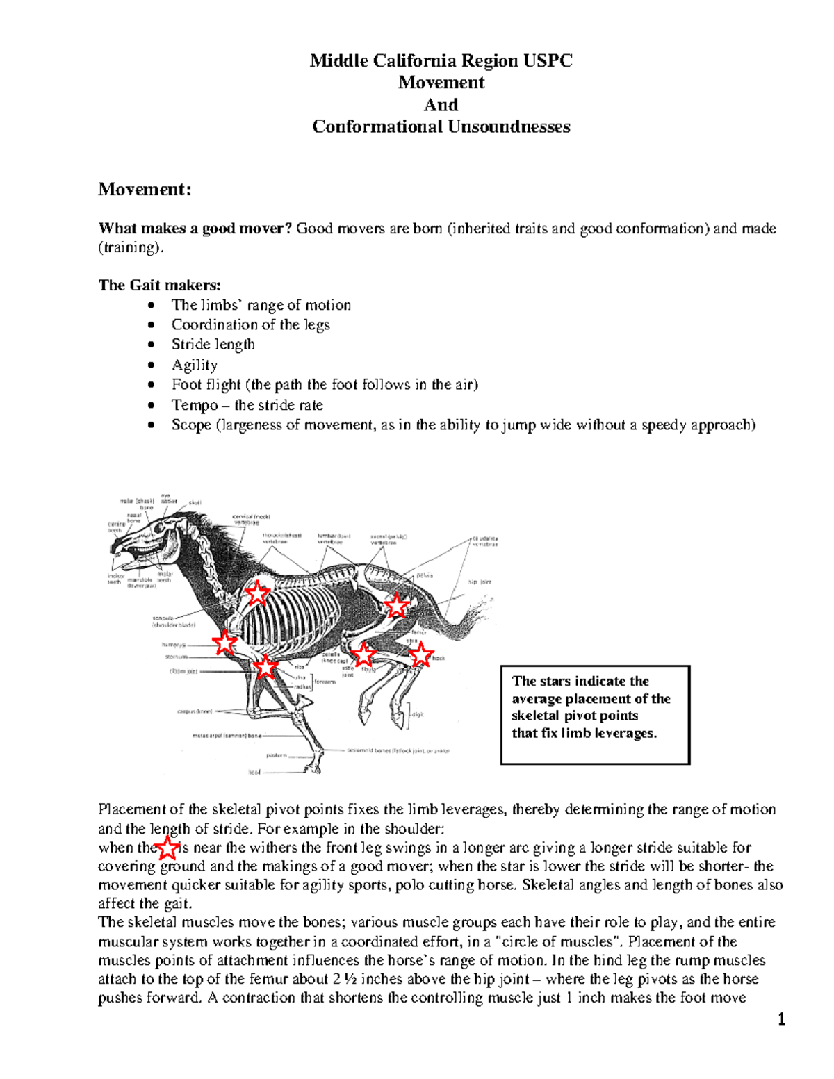 Movement and Conformation Study Guide (USPC) - Studocu