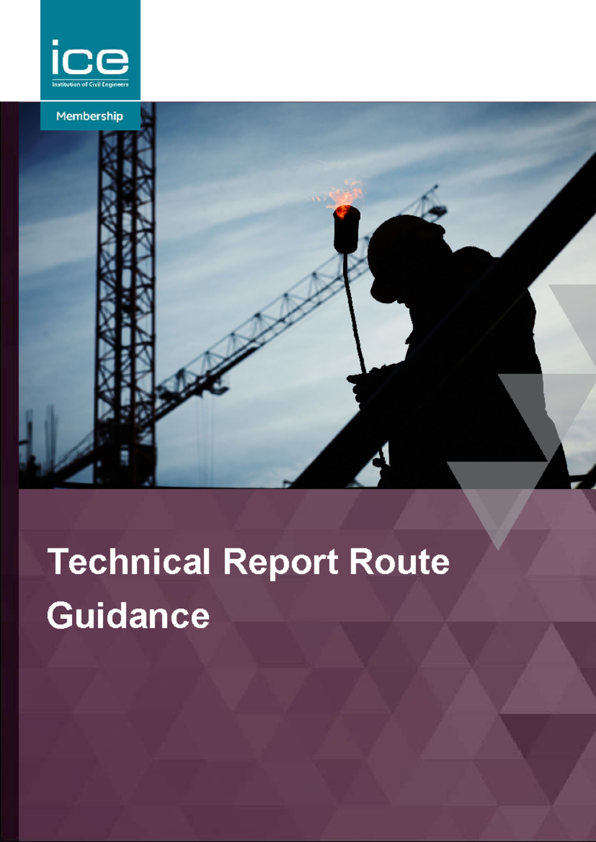 Technical Report Route Guidance (TRR) V3 Rev9 for IEng/CEng ...