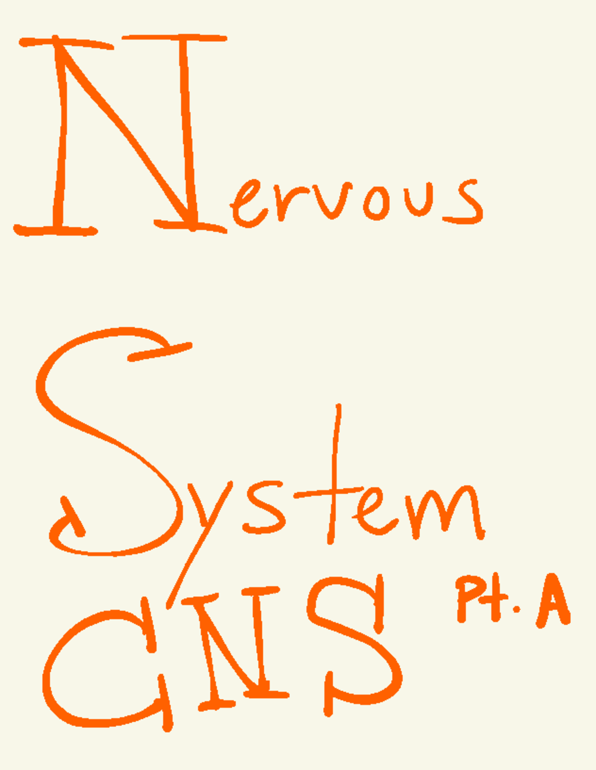 Neural Development and Brain Anatomy Overview (BIO 101) - #errors ...