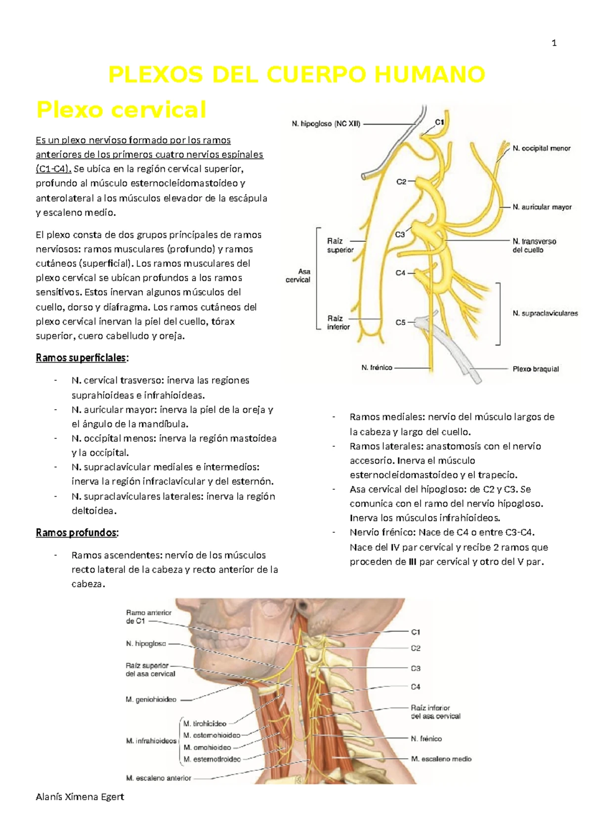 Monografía: Comparativa de Tratamientos en Colecistitis Aguda (Medicina ...