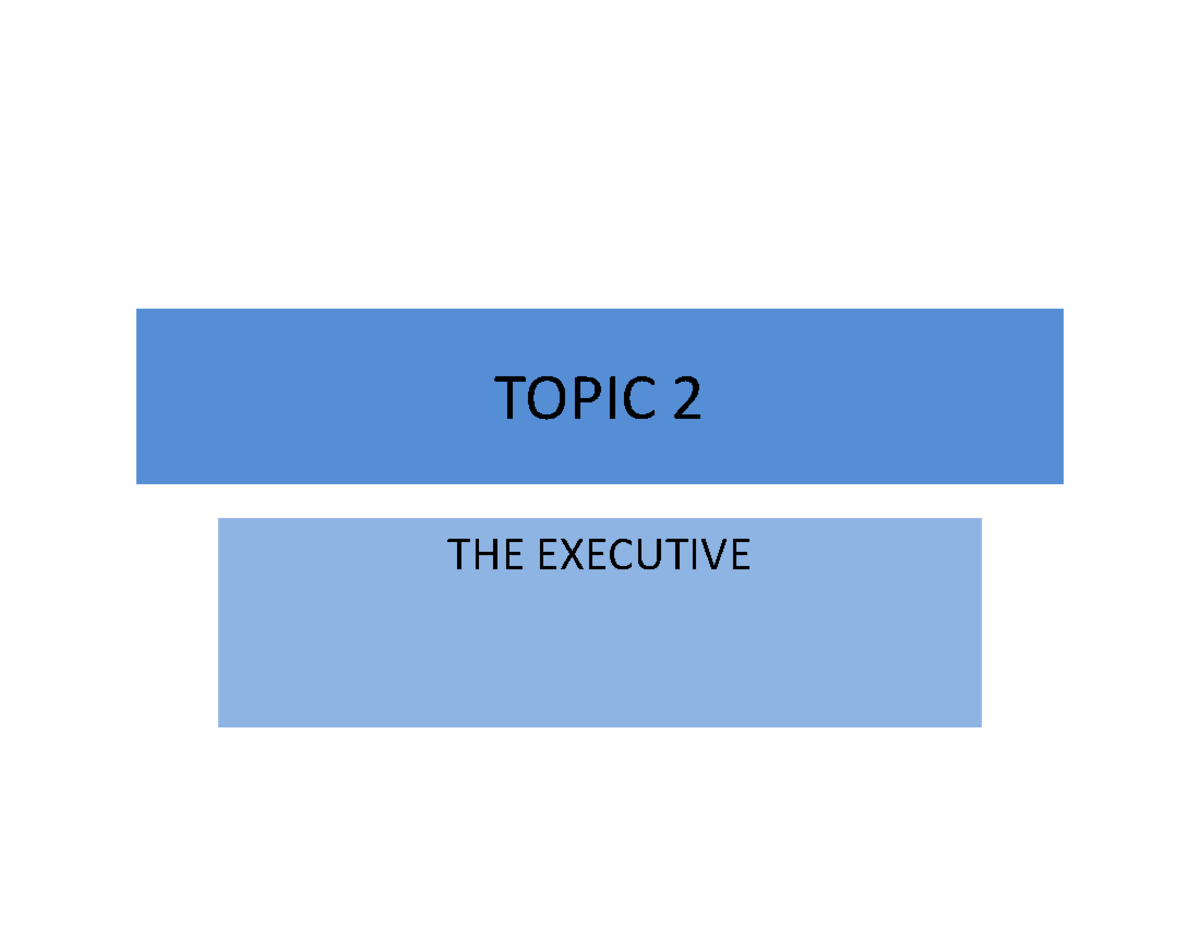 Chapter 2 THE Executive - TOPIC 2 THE EXECUTIVE TOPIC OUTLINE 2 ...