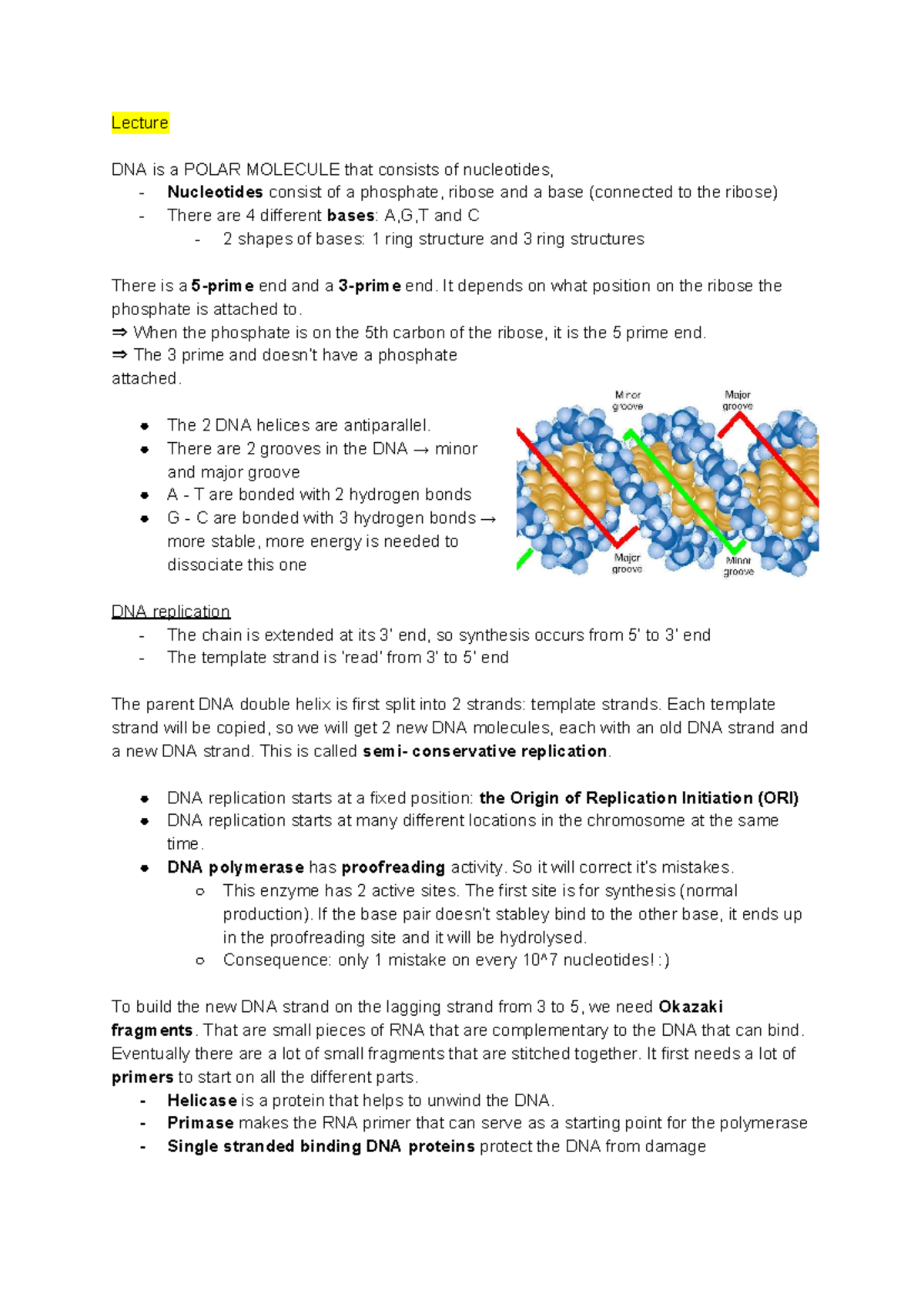 Cell Biology Week 2 DNA Summary - Lecture Notes on DNA Replication ...
