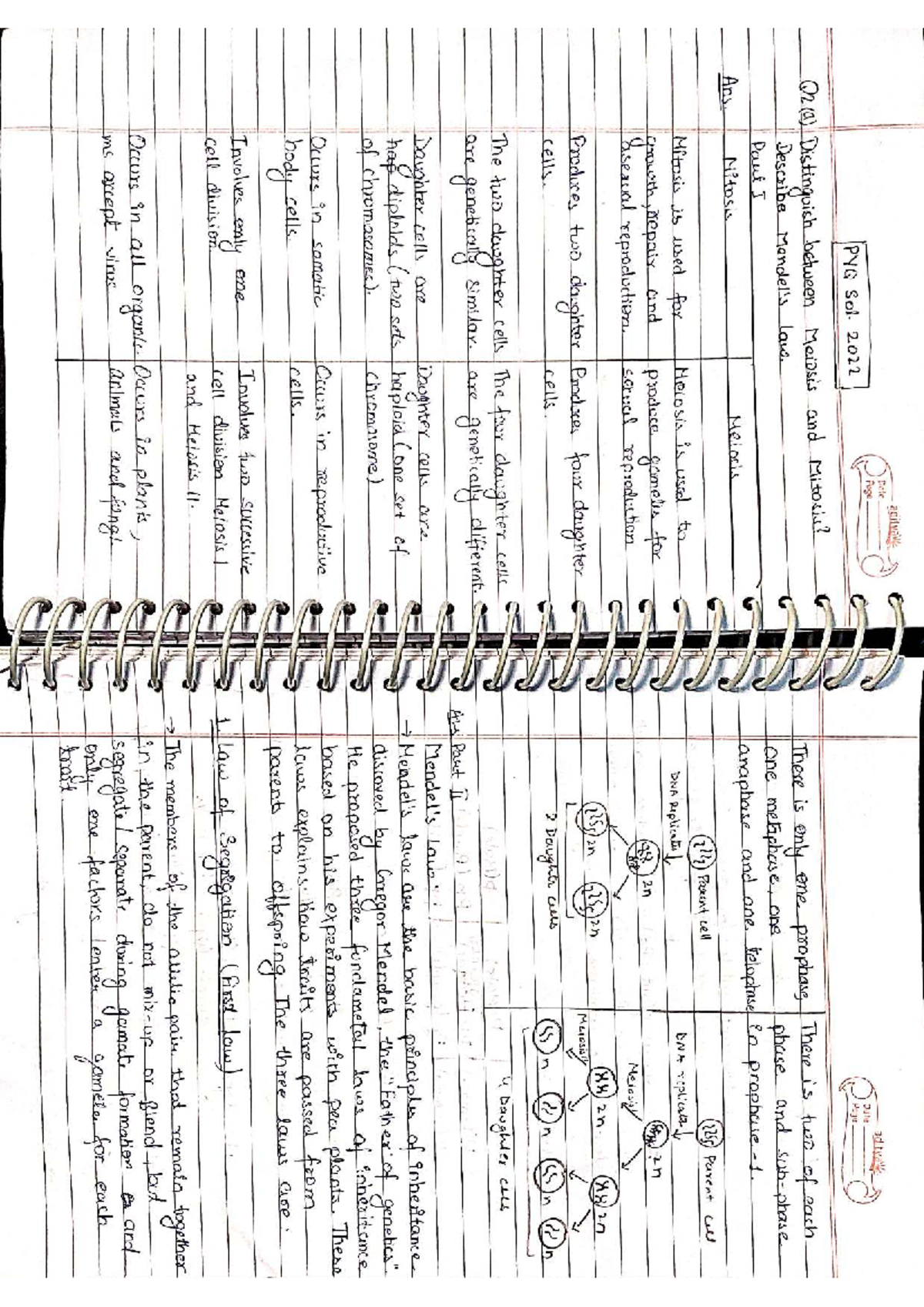 Bio 2022 Sol - PYQ Solutions for Biology in Engineering Exam 2022 - Studocu