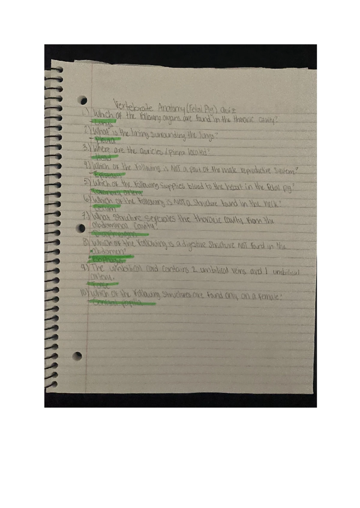 Animal Diversity I Worksheet - BSC1011L Lab Worksheet Animal Diversity ...