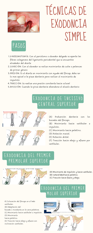 Modelo MAPA CCPP ITE - nada - 