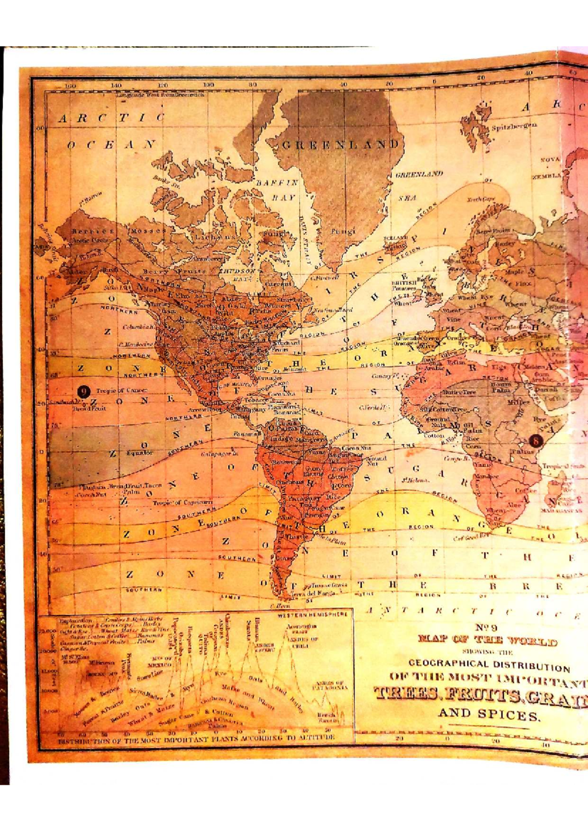 MAPA Types of Tea: A Comprehensive Guide to Global Varieties - Studocu