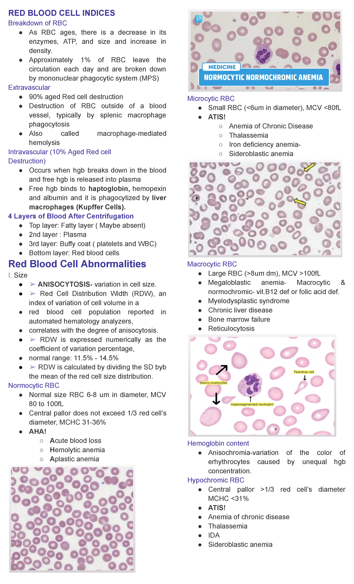 RBC Indices shortform - RED BLOOD CELL INDICES Breakdown of RBC As RBC ...